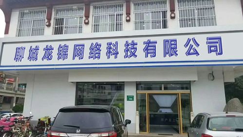 聊城龙锦网络科技