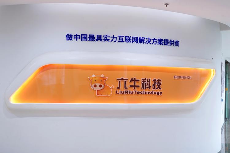 山东六牛网络科技